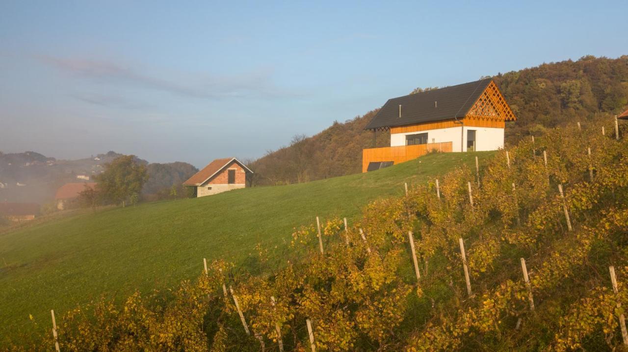 Villa Strtenica In The Vineyard Pristava pri Mestinju Buitenkant foto